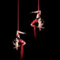 Aerial Duo Acts 